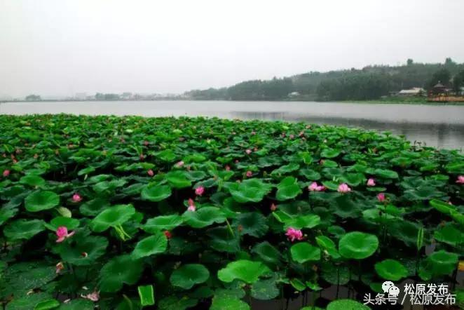 姘存竻澶╄摑,姘存竻澶╄摑鏅編