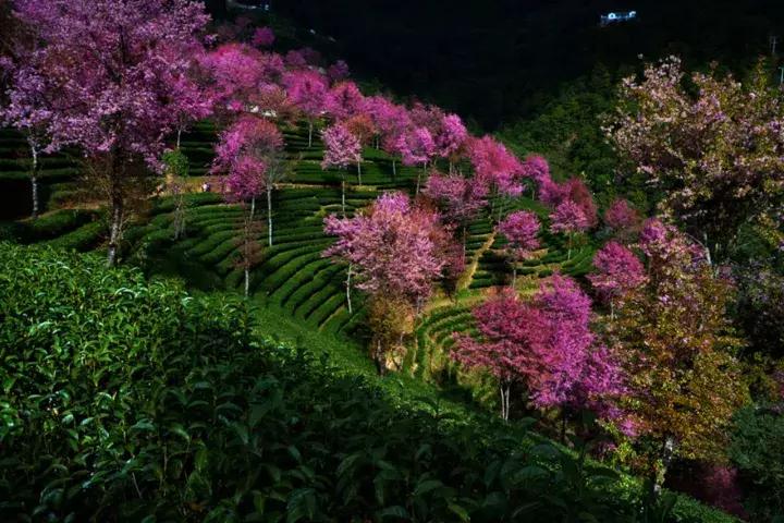 大理没有商业化的旅游景点,大理没被发现的景点