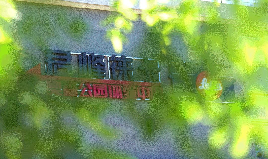 leica值得购买的三款m机型,leicam60.85限量版