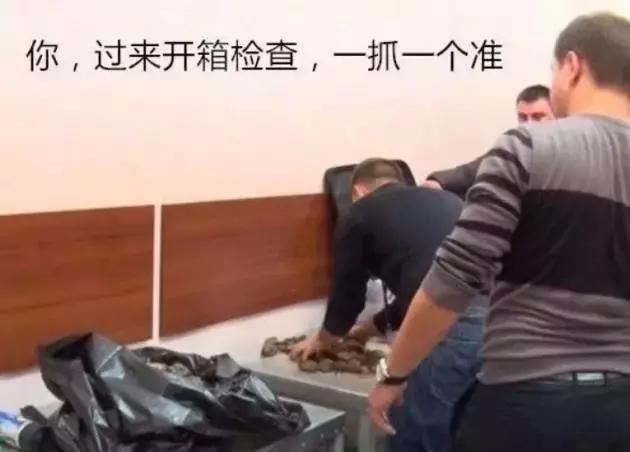 琥珀的真实事件,琥珀的事什么时候败露