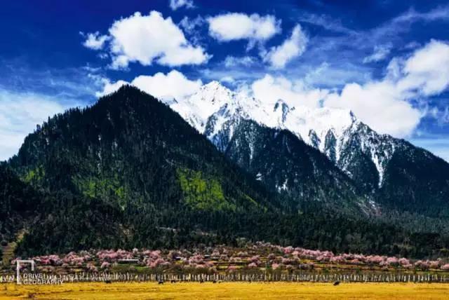 林芝为什么那么魅力,林芝深度游最佳路线