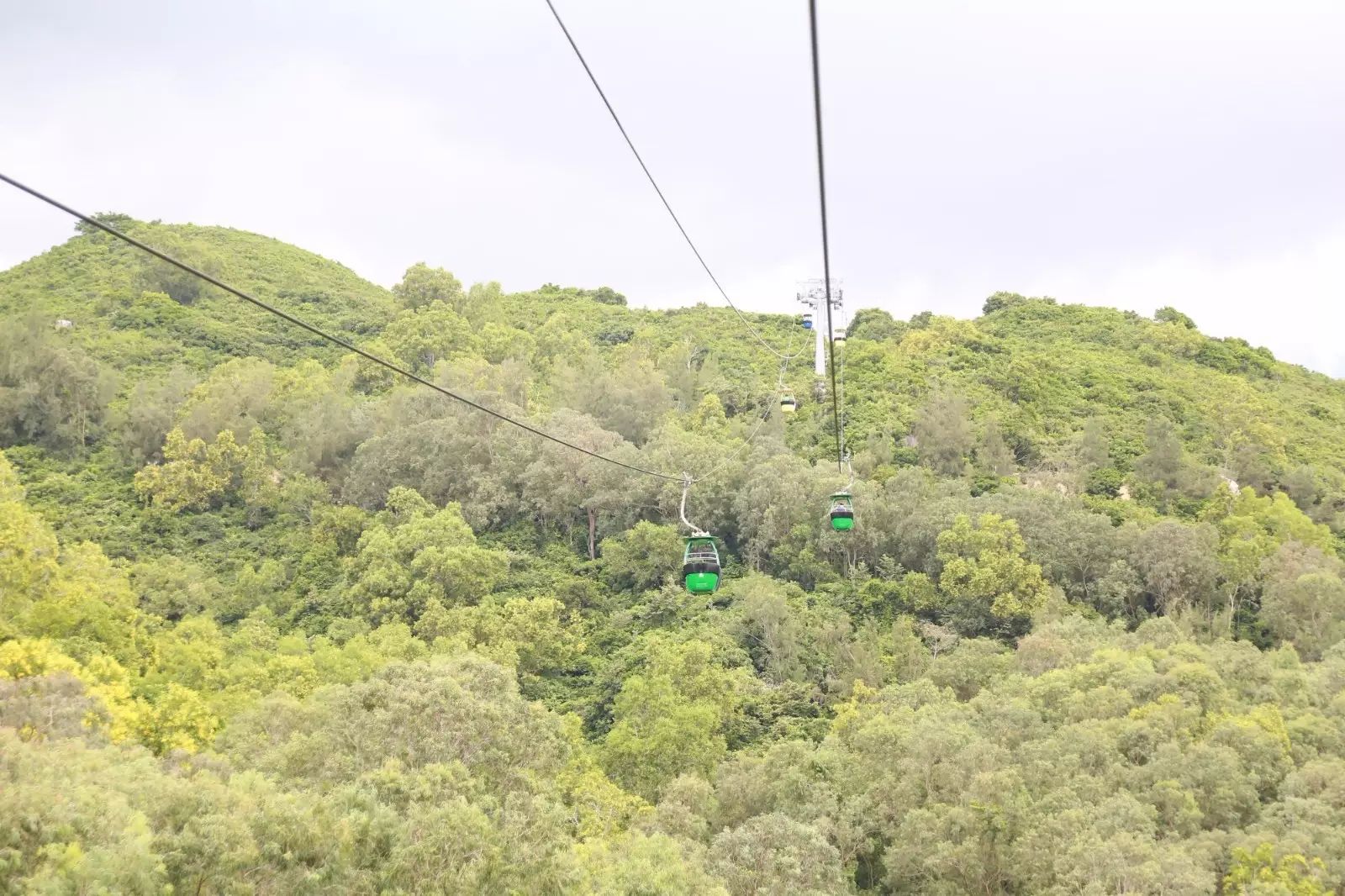 陵水分界洲岛一日游攻略,陵水椰子岛一日游攻略