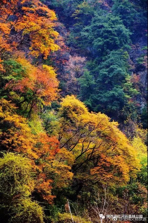 宝鸡红河谷去太白山,宝鸡到太白山城际公交时刻表