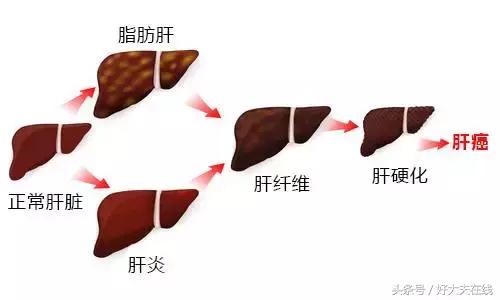 这些食物美味英语翻译,这些食物对孩子不健康英语