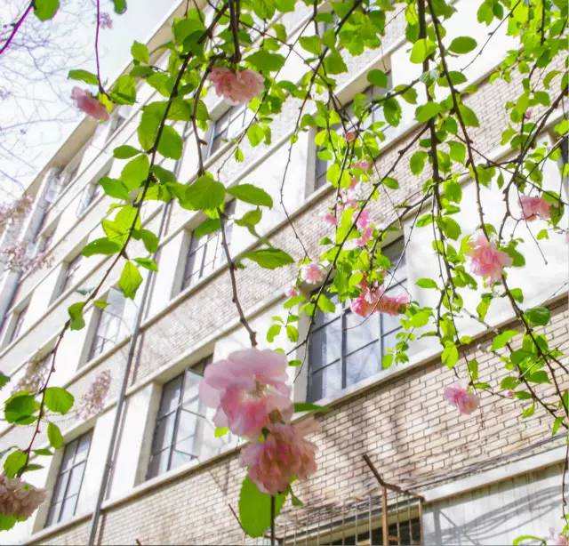 天津是一座幸福的城市,在天津生活的归属感