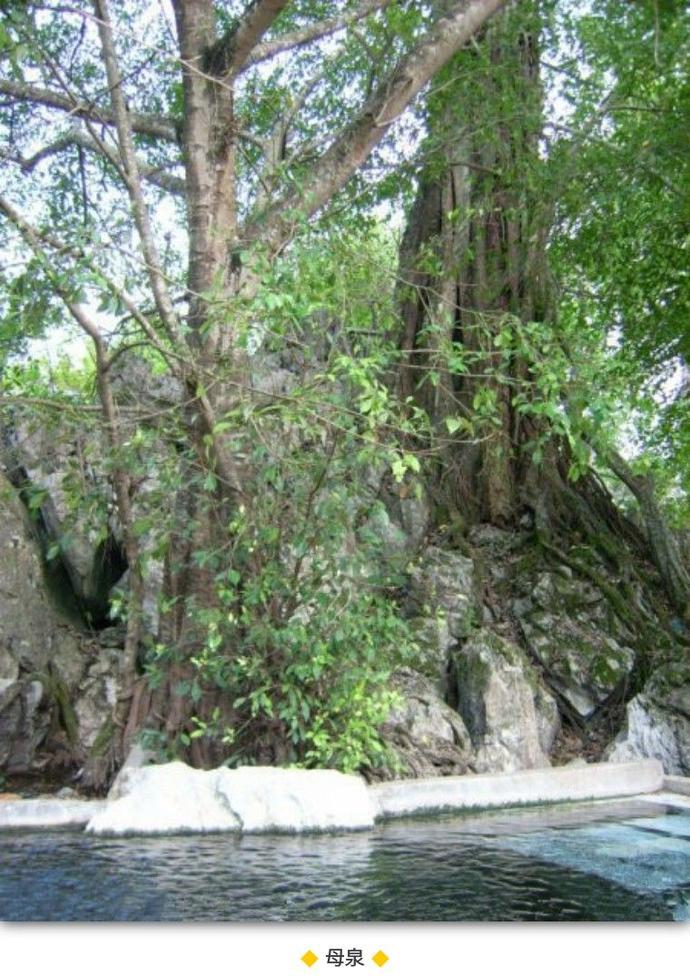 云南野温泉,云南哪里有野温泉