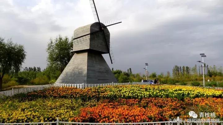 大家好这是我的家英文,大家好这是我的家图片卡通