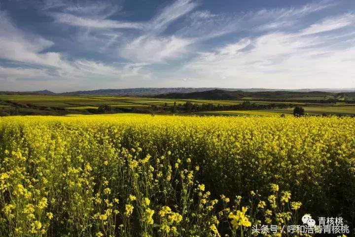 大家好这是我的家英文,大家好这是我的家图片卡通
