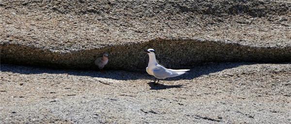 偶遇阳光、海滩在三亚
