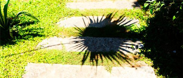 偶遇阳光、海滩在三亚