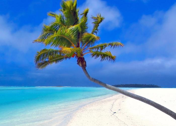 你在职场中干了那么久,知道什么是“方”什么是”圆“吗?