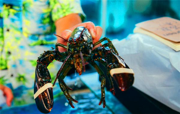 偶遇阳光、海滩在三亚