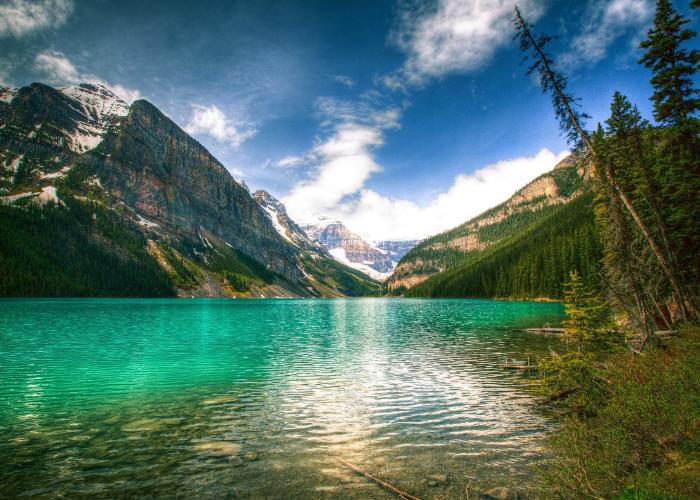 如何平衡职场上的真心与利益,如何在职场上做到外圆内方