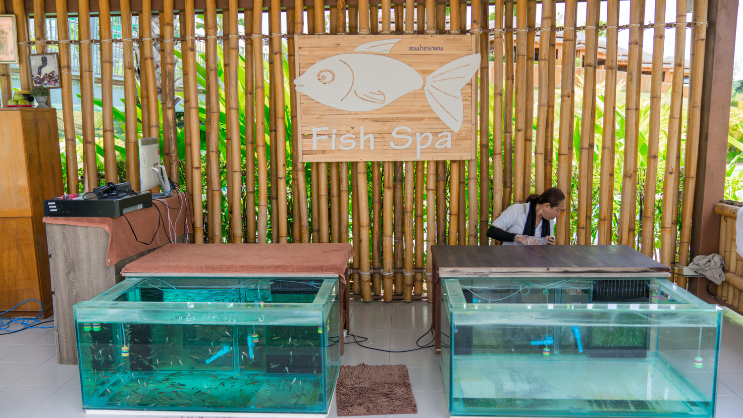 玩转芭提雅,玩转曼谷攻略