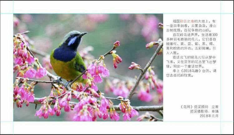 2018年鸟趣日历,太精美了,人手一份,值得收藏!