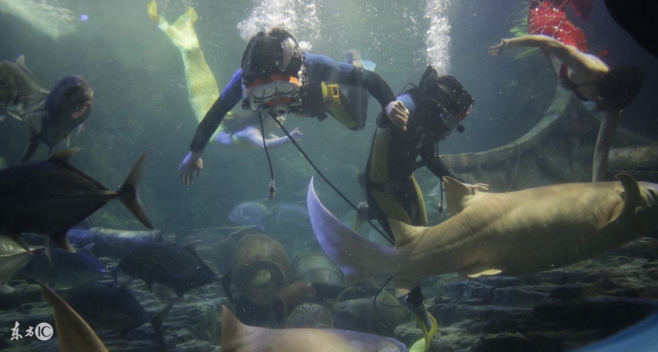 如何能够在海底漫步,海底漫步需要做什么准备