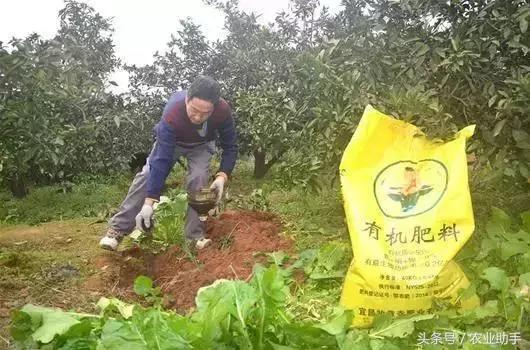 深度解析有机食品,深度解析腐植酸