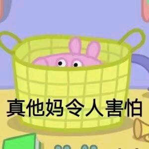 小猪佩奇表情包精选,表情包小猪佩奇可爱动图