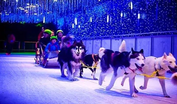 138景区半价门票套票,5a级景区团购