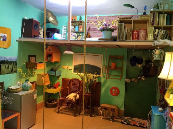 深圳有十几栋房子的90后女房东,90后女孩深圳租房