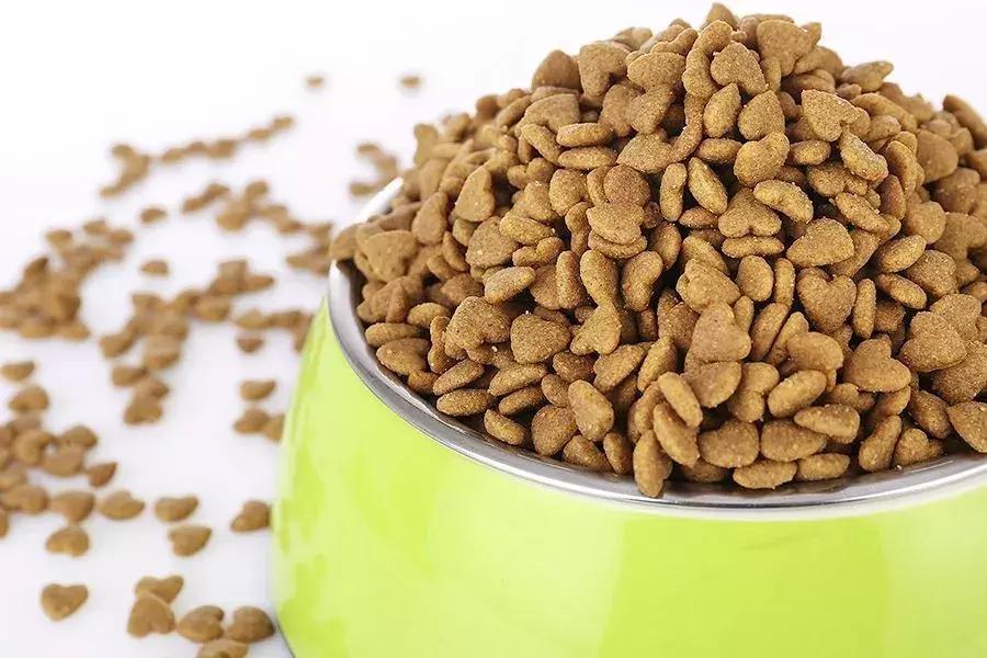 测一测你家狗能活多久!