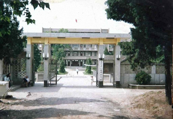 一代中师生深度解析,一代中师生重拾芳华