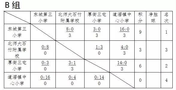 东莞中小学生校园足球联赛,东莞市南城第19届小学生足球比赛