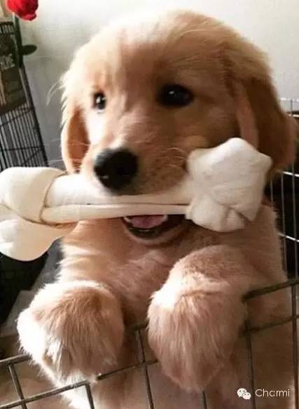 女生买本子的原因 (女生爱买本子的心态)