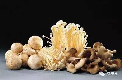 蘑菇加一物,赛过神仙药!我确信你还不知道!