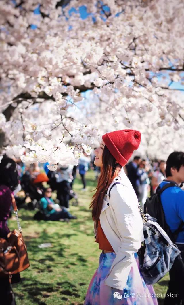 胡歌江疏影分手后首次同框,胡歌江疏影分手以后同台过吗