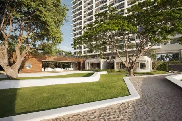 好的景观草坪,天然草坪推荐