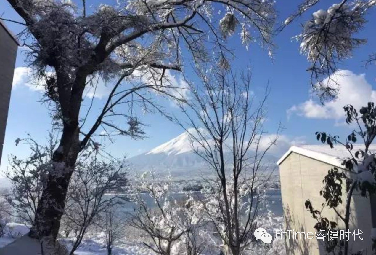 马拉松名古屋,名古屋马拉松完赛