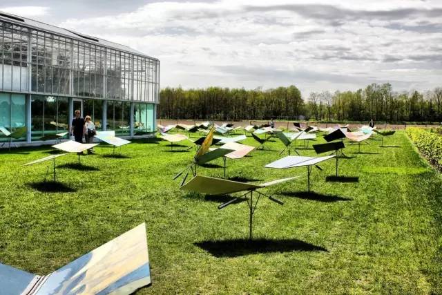 观赏性最好的草坪,大型的景观草坪