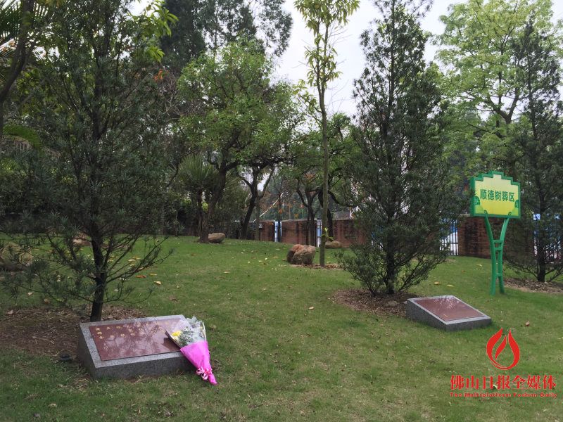 一束鲜花表心意一段视频寄哀思推动文明祭祀新风尚