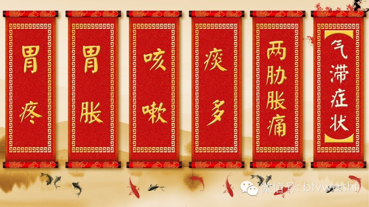 北京卫视养生堂活血化瘀三宝,养生堂名老中医调脾胃