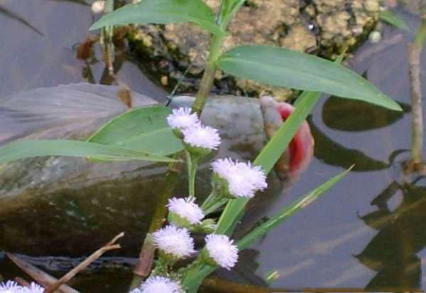 湛江千人钓鱼视频,疯狂钓鱼人钓到了最大的鱼