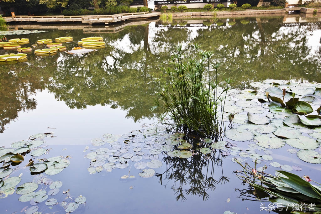 鏉窞鍥灄涔嬪啝閮簞,瑗挎箹鍙ゅ吀鍥灄涔嬪啝