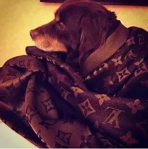 成为有钱人有什么条件,成为有钱人英文怎么说