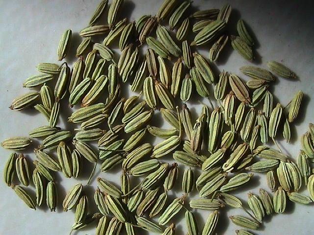 家常五香粉有哪几种药材,五香粉中药味来自何处