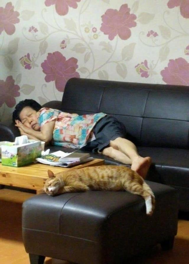 老婆疯狂网购老公忍无可忍发火,140万刷爆17张卡完整版