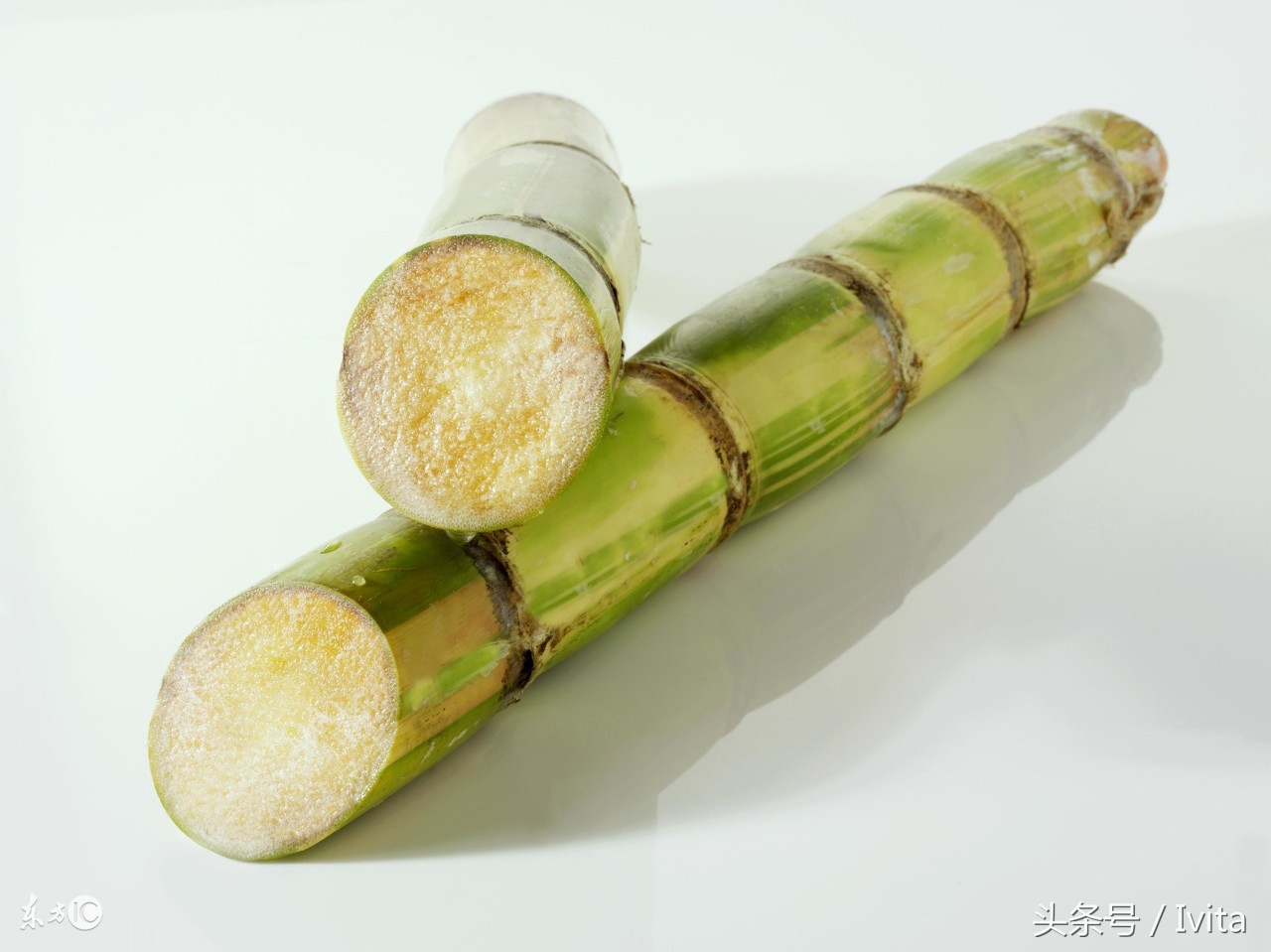 治疗食物中毒的药有哪些,治疗食物中毒最好的医院