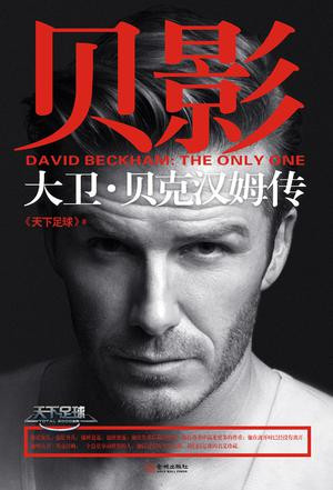 皮尔洛退役后视频,皮尔洛什么时候退役的