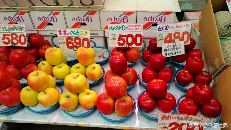 札幌狸小路,北海道大通公园