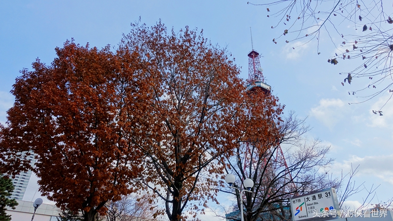 札幌狸小路,北海道大通公园