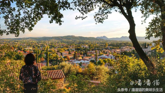 来自普罗旺斯的薰衣草,普罗旺斯薰衣草的味道