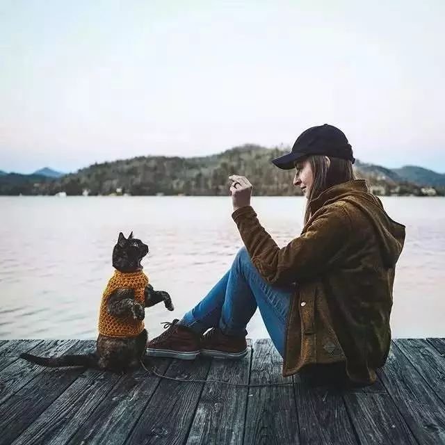 玳瑁猫最丑的猫,玳瑁猫长得好凶