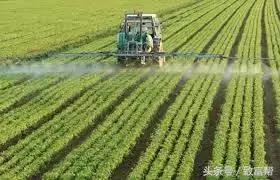 不用农药的高产方法,无公害防虫水