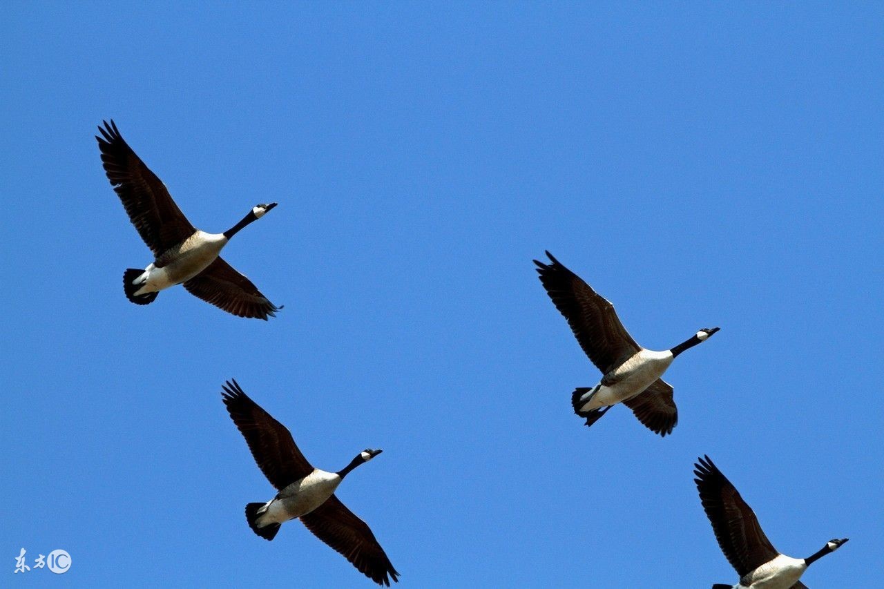 揭秘互联网暴利创业套路,为你揭秘行业内的秘密