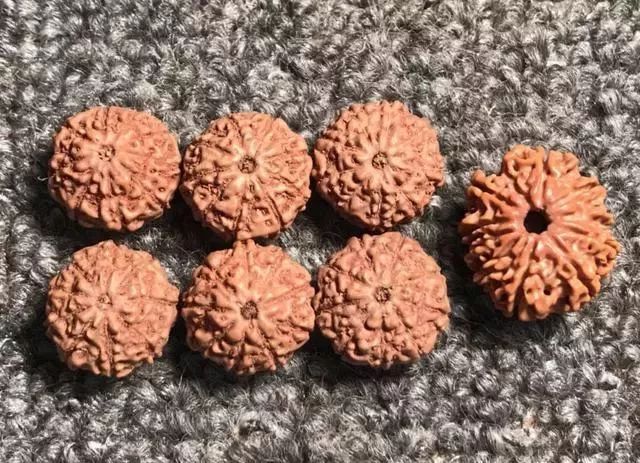 怎样区分打药的金刚菩提,金刚菩提怎么鉴别值钱