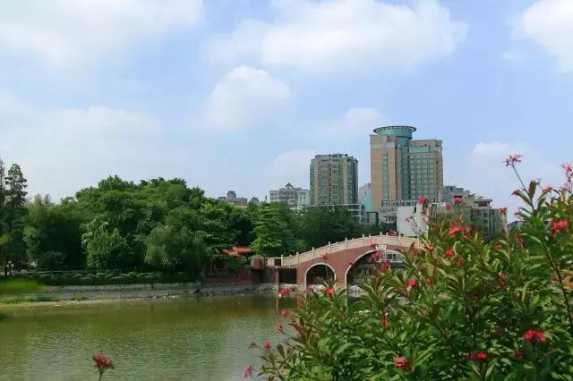 别再跟我说“母鸡”去哪玩！广州48个一日游免费景点推荐！